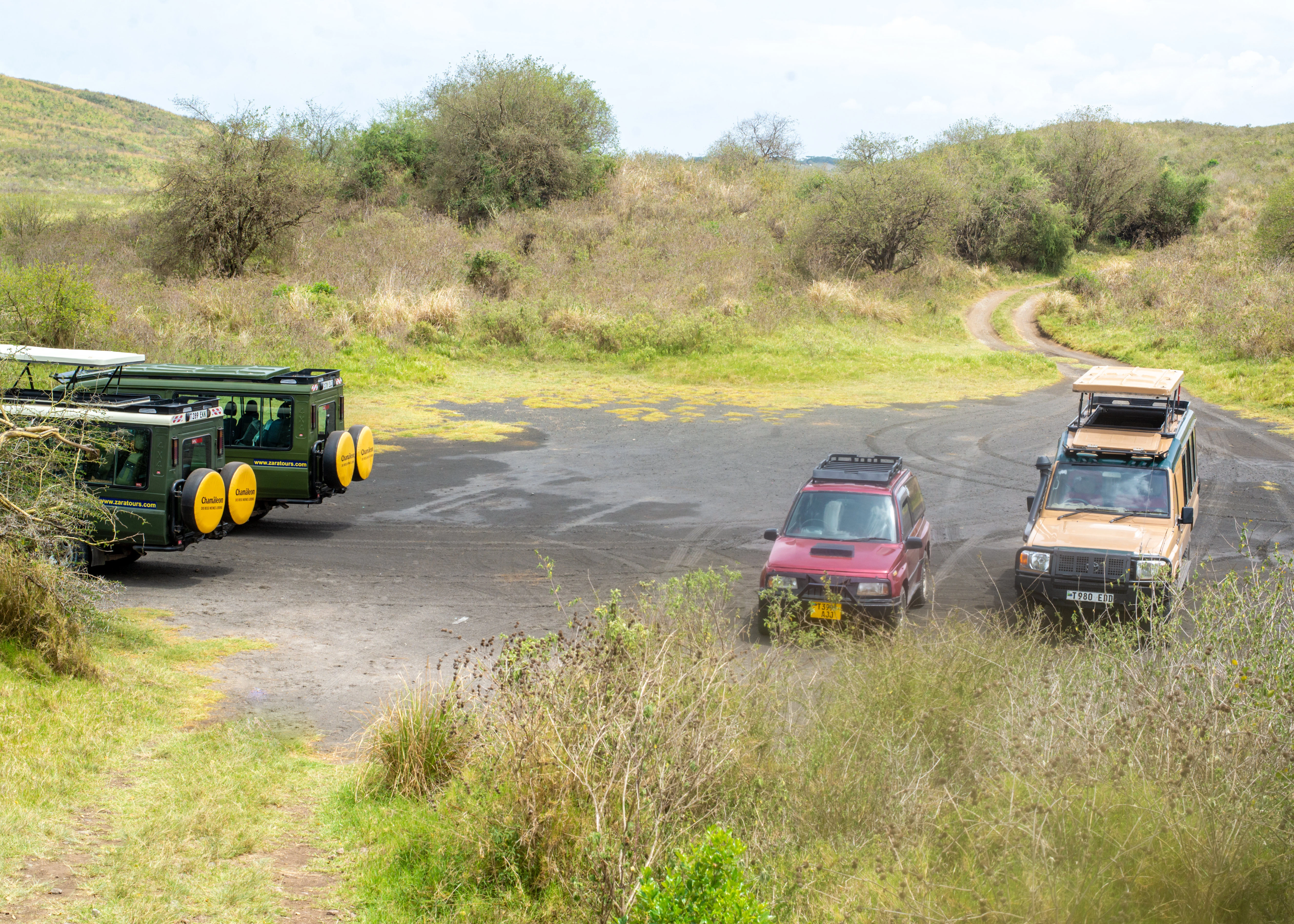 Tarangire Day Trip